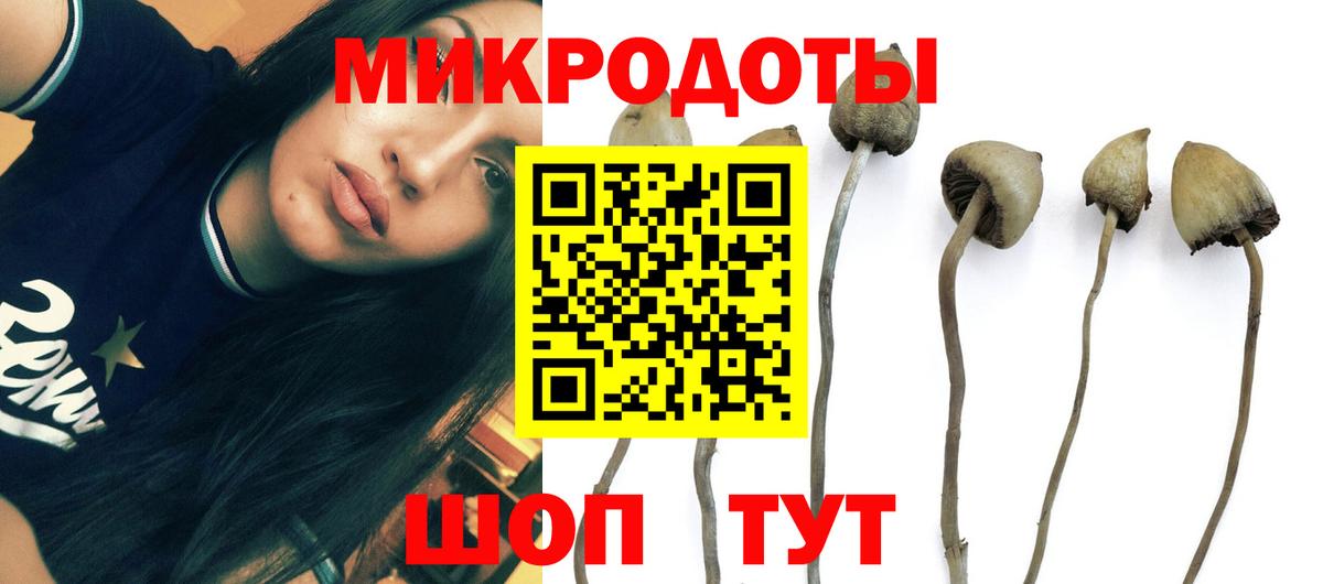 Туапсе  где купить наркоту  Вход с VPN  Галлюциногенные грибы прущие грибы 